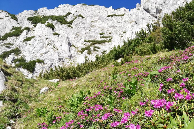 Day Hike PRIVATE - Piatra Craiului National Park - Entering Zarnesti Canyon beneath steep cliffs