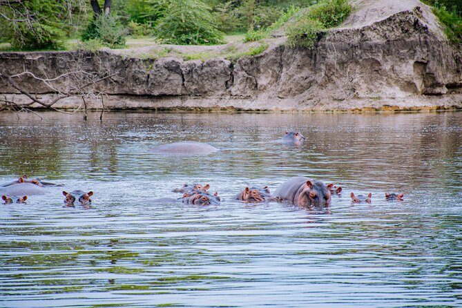 Day Safari Tour to Mikumi National Park - The guide can shape the entire safari