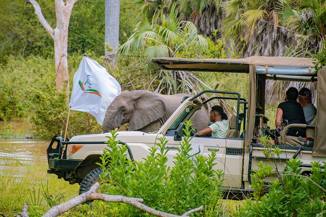 Day Safari Tour to Mikumi National Park - Group size, fitness, and the feel of the day