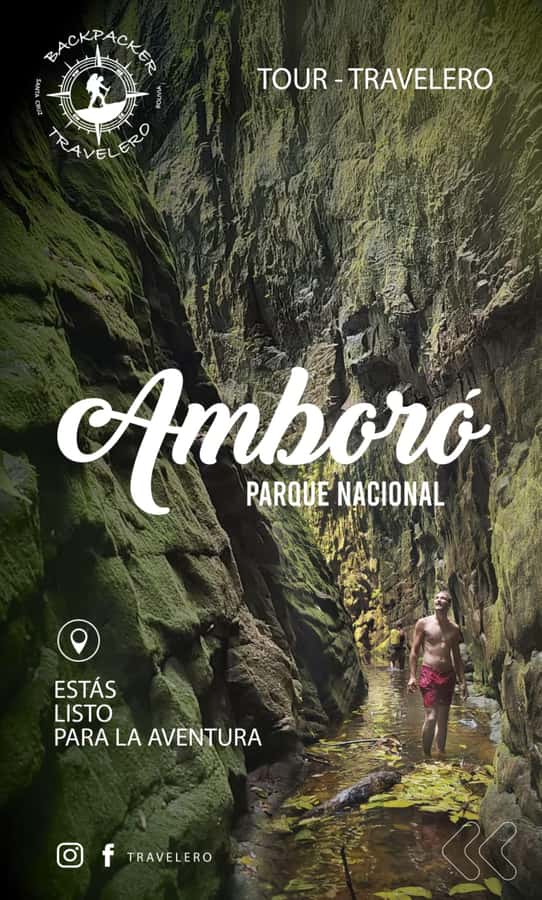 Day Tour / Amboro National Park (north side) - Key points to know before you book