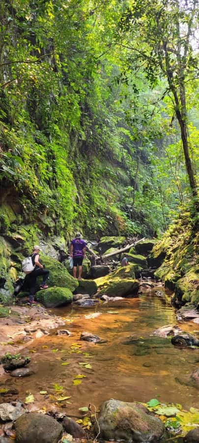 Day Tour / Amboro National Park (north side) - What the $139 price includes