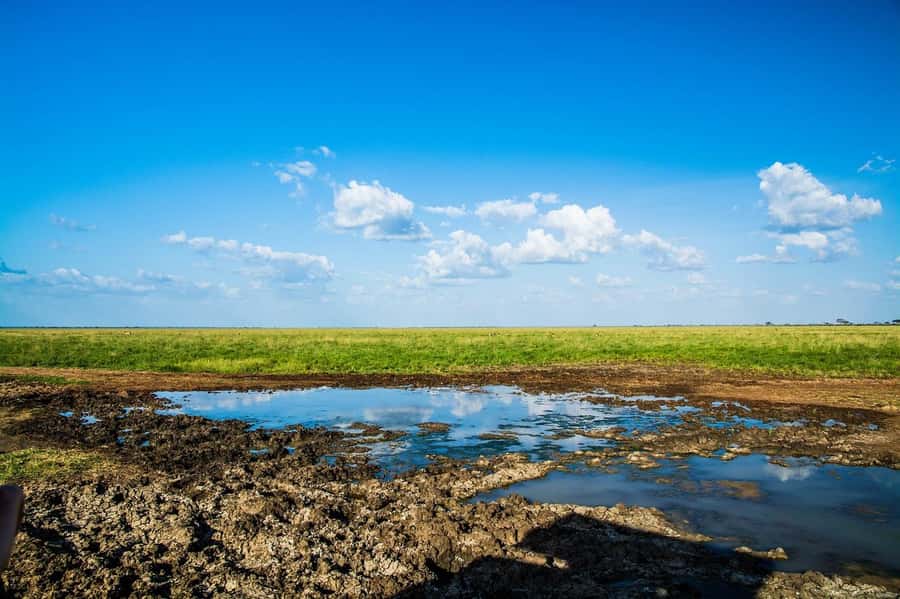 Day Tour of Tsavo East National Park from Mombasa/Diani - Key points at a glance