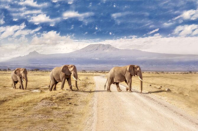 Day Tour to Amboseli National Park - Why Amboseli works as a Nairobi day safari