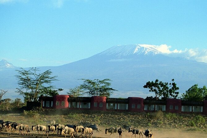 Day Tour to Amboseli National Park - Elephants, marshes, and the Kilimanjaro view