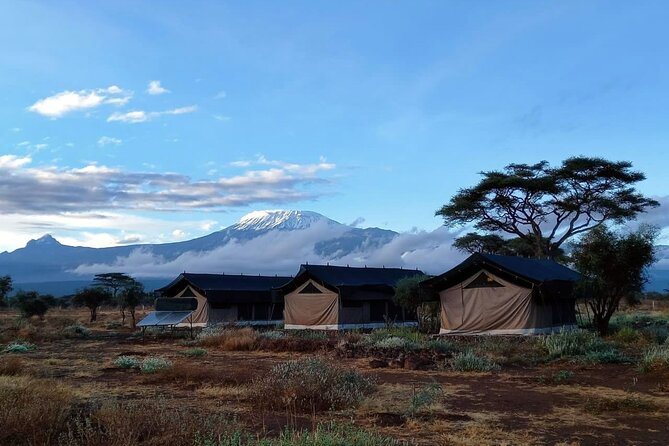Day Tour To Amboseli National Park From Nairobi - Observation Hill and the marsh views