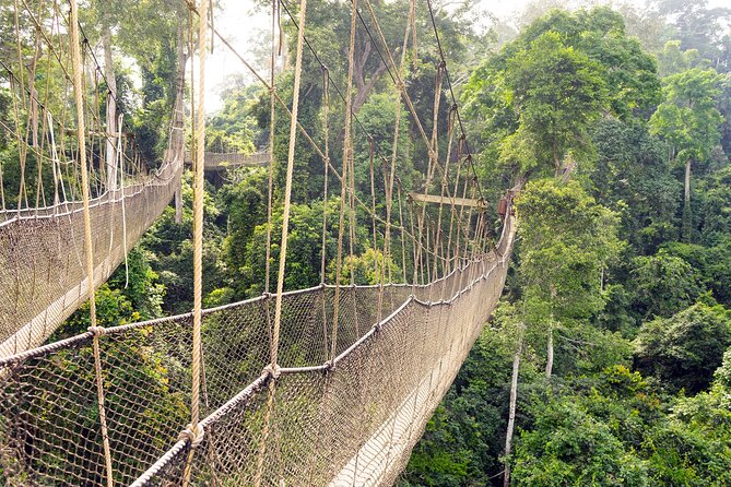 Day Tour to Kakum National Park, Cape Coast and Elmina Castles - A long day that connects forest and memory