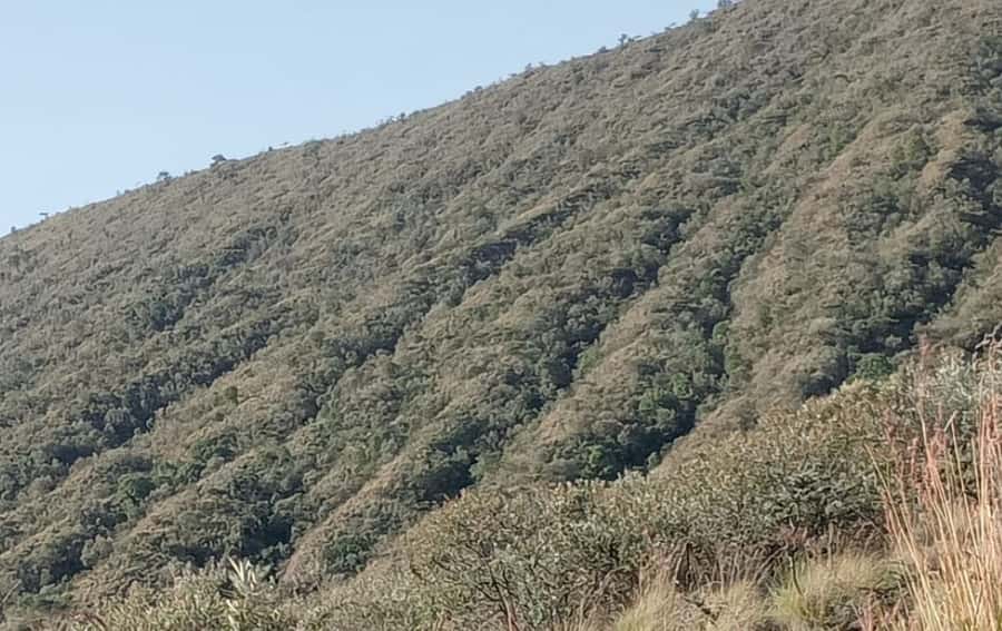 DAY TOUR TO MOUNT LONGONOT NATIONAL PARK- WITH PARK FEES - Why Mount Longonot makes a strong day trip