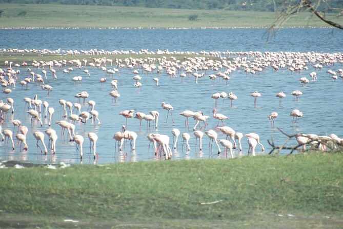 Day Tour to Tarangire National Park from Arusha - Weather, cancellation, and planning details