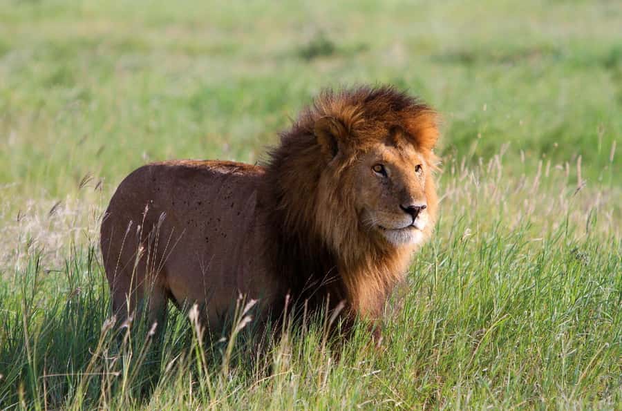 DAY TOUR TO TSAVO EAST NATIONAL PARK FROM MOMBASA/DIANI - Entering Tsavo East through Bachuma Gate
