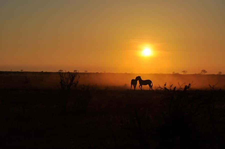 DAY TOUR TO TSAVO EAST NATIONAL PARK FROM MOMBASA/DIANI - Aruba Dam and the best chance for close wildlife