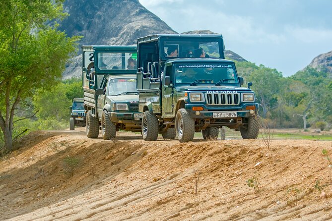 Day Tour to Wilpattu National Park from Colombo - Key points to know before you book