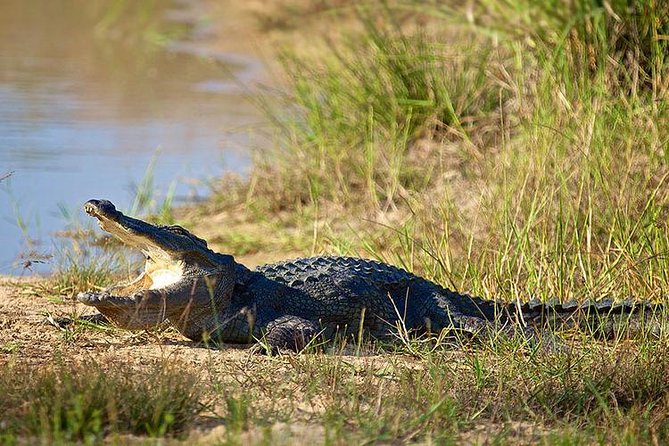 Day Tour to Wilpattu National Park from Colombo - What the $150 price really covers