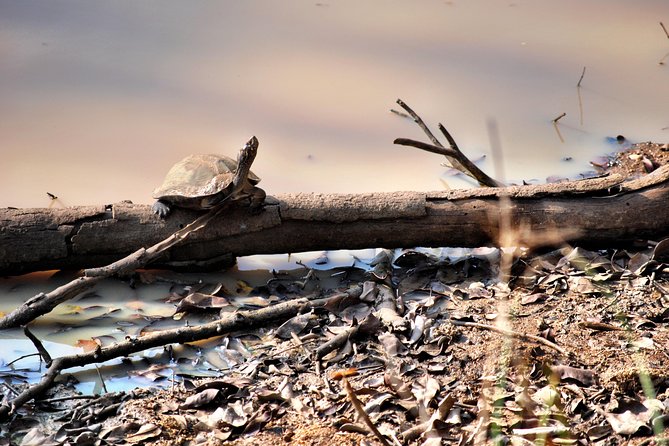 Day Tour to Wilpattu National Park from Colombo - Practical details that can save you trouble