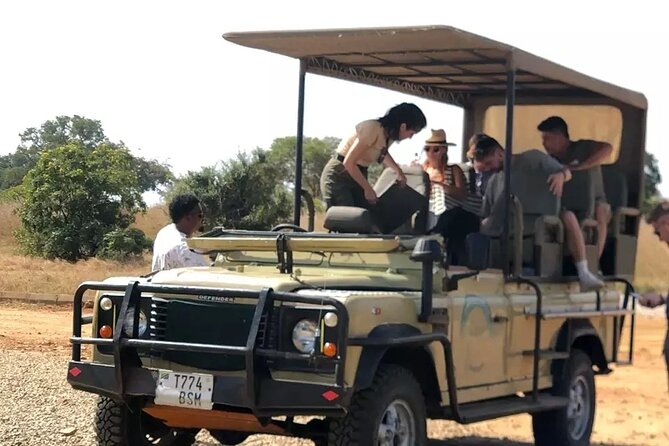 Day trip Safari to Mikumi National Park - Returning to Zanzibar after the safari