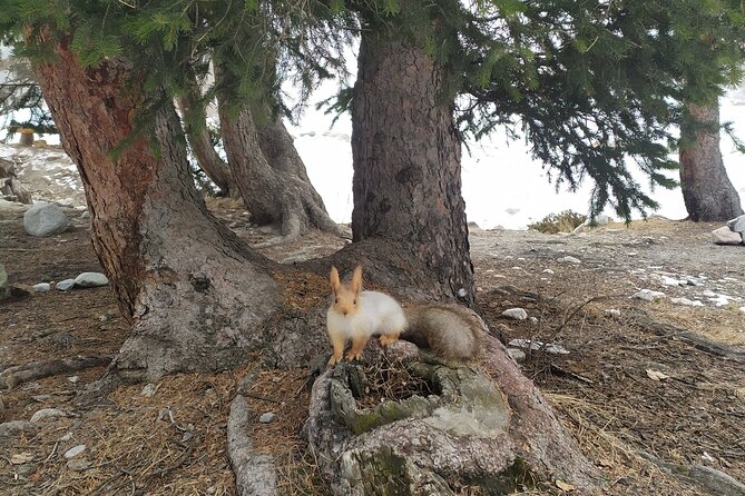 Day trip to Ala-Archa national park - Who will enjoy this private day trip