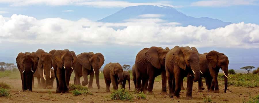 Day Trip to Amboseli National Park from Nairobi. - The Nairobi to Amboseli drive