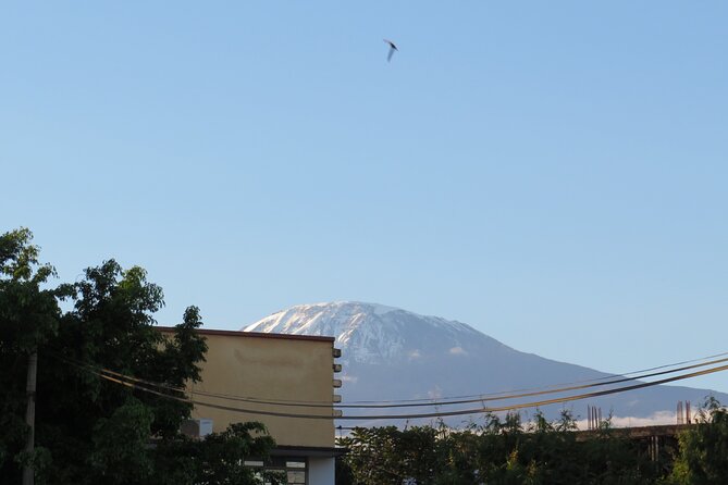 Day Trip to Kilimanjaro National Park - From Arusha to Marangu Gate at 6 a.m.