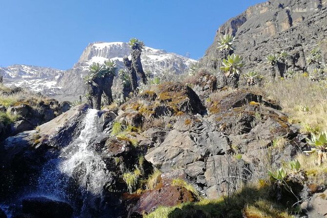 Day Trip to Kilimanjaro National Park - Mandara Hut gives you a taste of mountain climbing