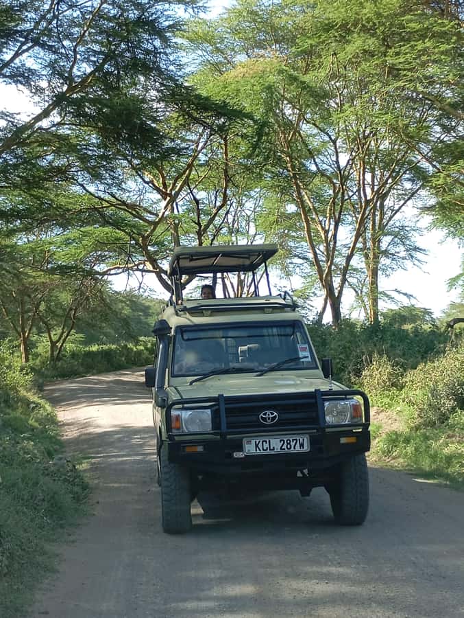 Day Trip to Lake Nakuru National Park from Nairobi - Why Lake Nakuru works as a one-day safari