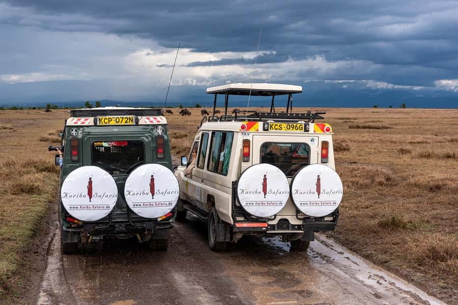 Day Trip to Lake Nakuru National Park from Nairobi - Flamingos, pelicans, and the lake’s birdlife