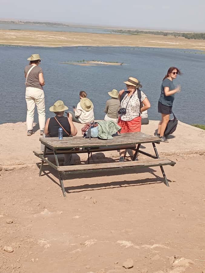 Day Trip to Lake Nakuru National Park from Nairobi - Afternoon wildlife viewing and the return to Nairobi