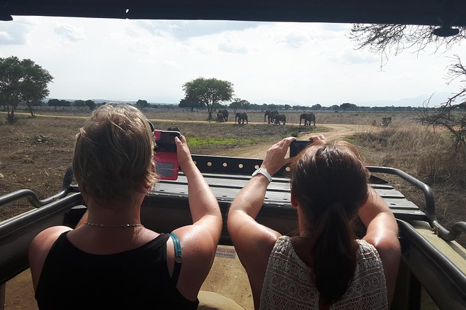 Day trip to Mikumi National Park from Dar es salaam - Key details before you book