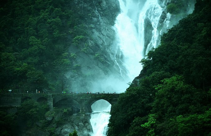 Day Trip to Mollem National Park Including Dudhsagar Falls and Jeep Safari from Goa - What $203 per person really buys