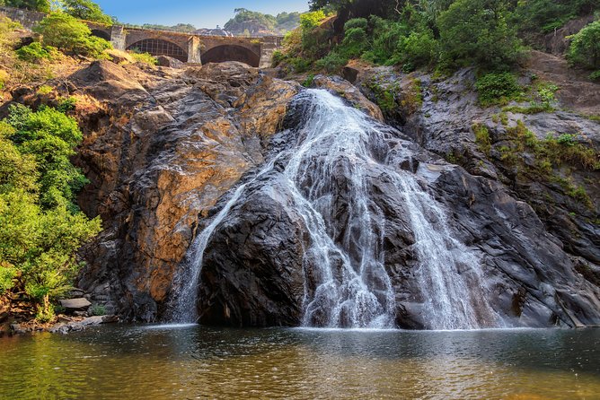 Day Trip to Mollem National Park Including Dudhsagar Falls and Jeep Safari from Goa - Timing, comfort, and what to pack