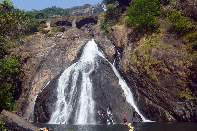Day Trip to Mollem National Park Including Dudhsagar Falls and Jeep Safari from Goa - Guide support and the feel of the day