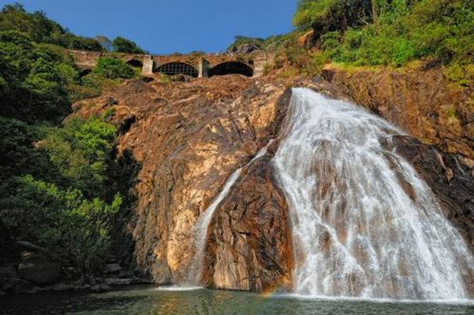 Day Trip to Mollem National Park Including Dudhsagar Falls and Jeep Safari from Goa - The hard walk to the upper view