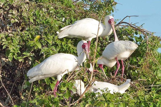 Day Trip to Selous National Park from Zanzibar or Dar es salaam - Why a flight makes Selous possible in one day