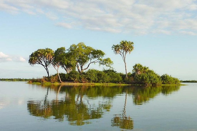 Day Trip to Selous National Park from Zanzibar or Dar es salaam - Lakes, rivers, and the best places for sightings