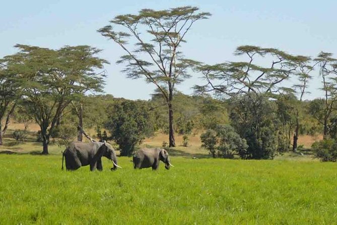 Day Trip to Selous National Park from Zanzibar or Dar es salaam - Is $670 a fair price?