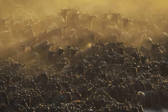 Day trip to tarangire national park - Why Tarangire works so well for a one-day safari