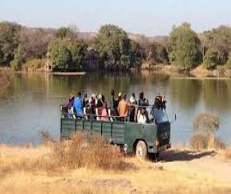 Delhi: Ranthambore National Park 3-Day Trip w/ Tiger Safari - The afternoon safari and the chance of a tiger sighting