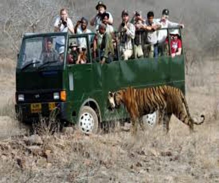 Delhi: Ranthambore National Park 3-Day Trip w/ Tiger Safari - Returning to Delhi after breakfast