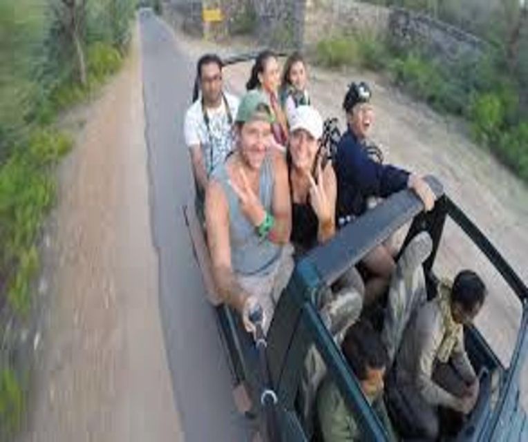 Delhi: Ranthambore National Park 3-Day Trip w/ Tiger Safari - Who will get the most from this trip