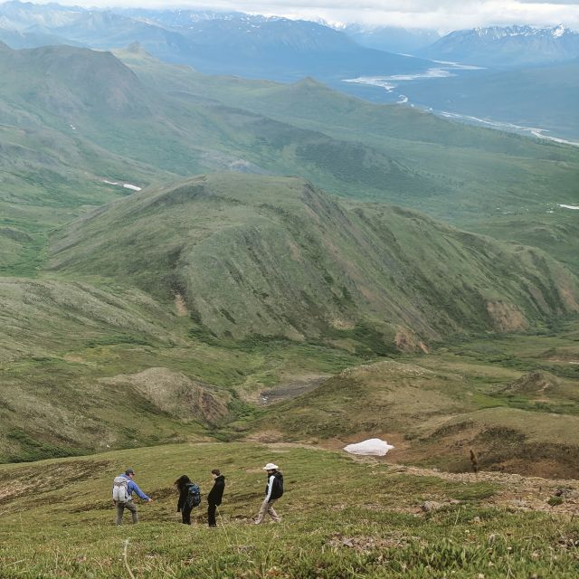 Denali: 5-Hour Guided Wilderness Hiking Tour - A Denali hike that works for the view