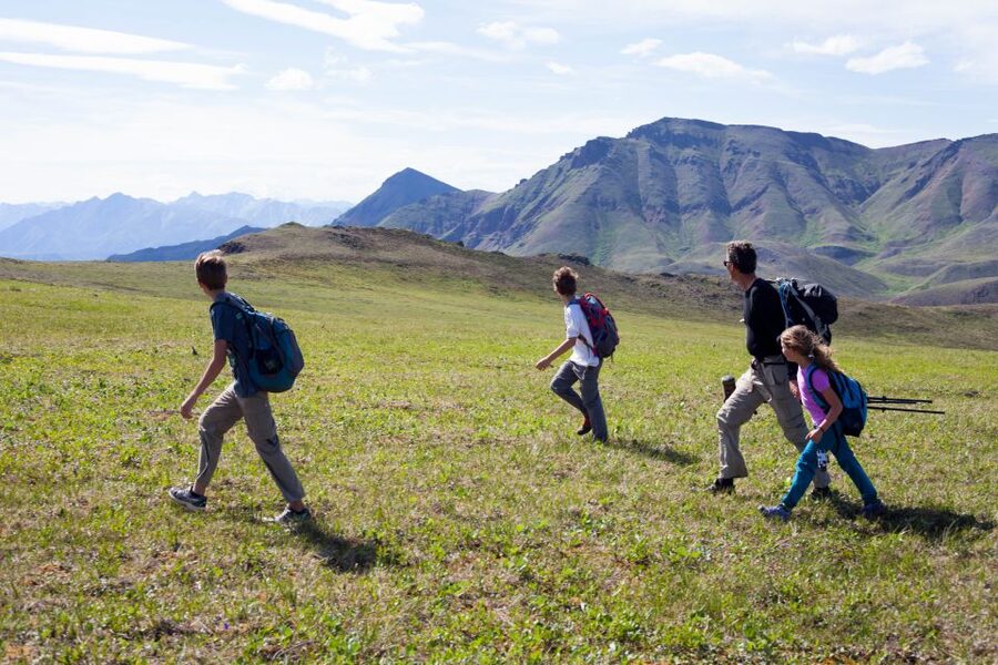Denali: 5-Hour Guided Wilderness Hiking Tour - What to pack for an Alaska mountain day