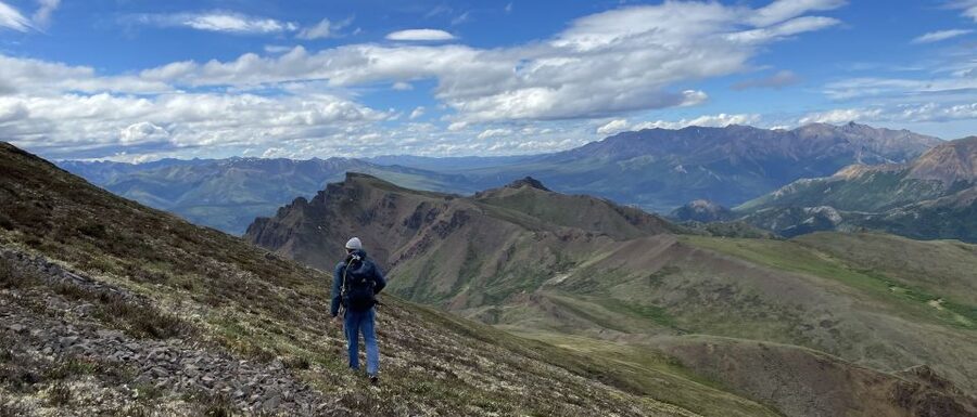 Denali: Denali National Park Walking Tour - A slower way to see Denali