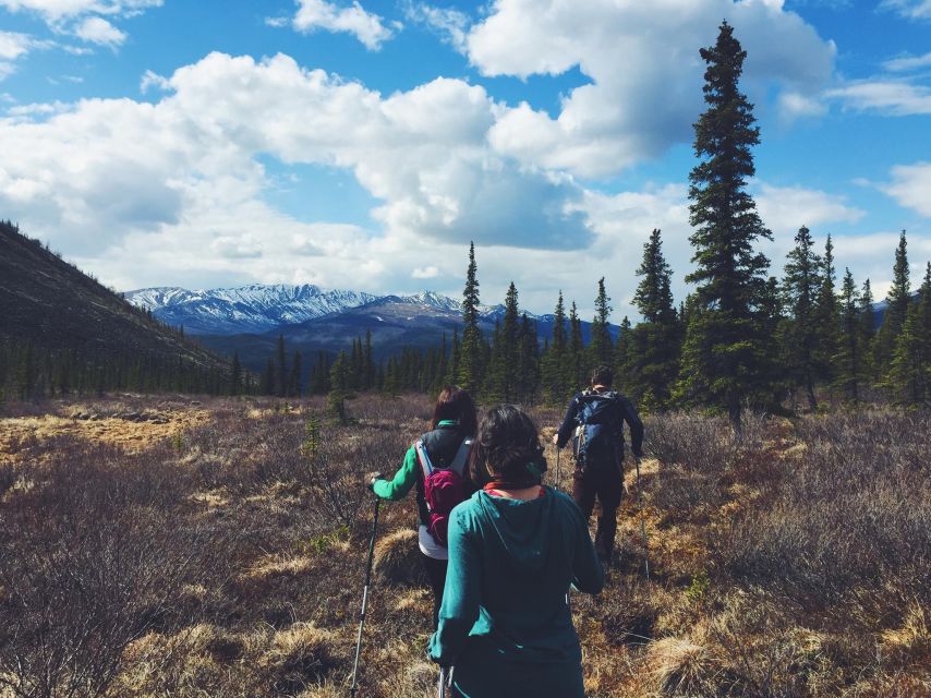 Denali: Denali National Park Walking Tour - Rain gear, mud, and the practical side of the trail