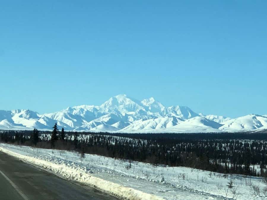 Denali National Park: Full-Day Fairbanks-Denali Adventure - A short but useful visit to Denali National Park