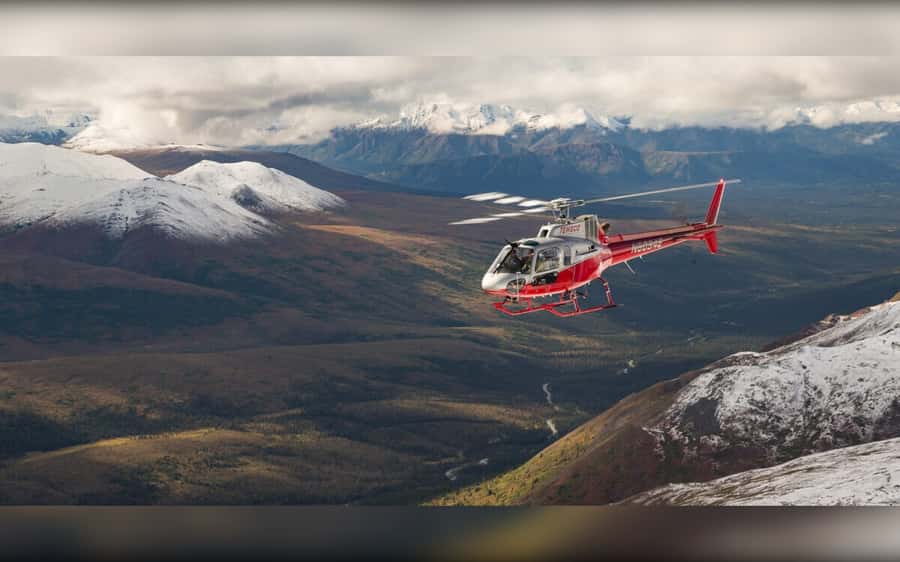 Denali National Park: Helicopter and Hike Adventure - Key points to know before booking