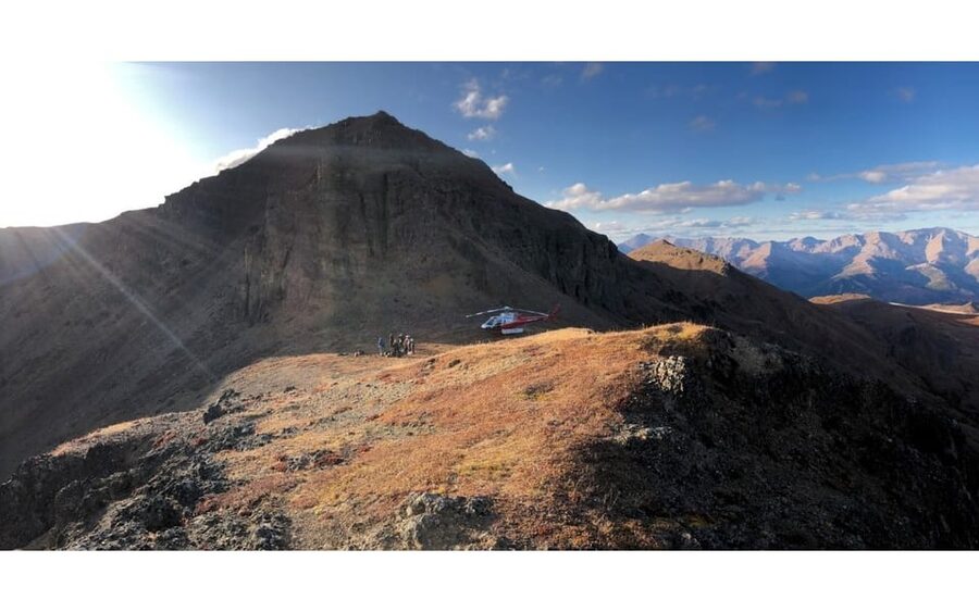 Denali National Park: Helicopter and Hike Adventure - Wildlife, plants, and the value of a local guide