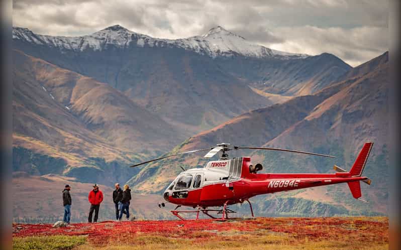 Denali National Park: Helicopter and Hike Adventure - Returning by helicopter
