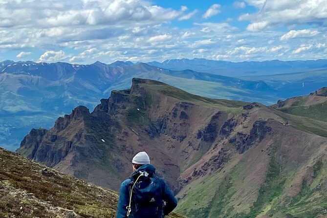 Denali Naturalist Walking Tour - A close look at Denali, one step at a time