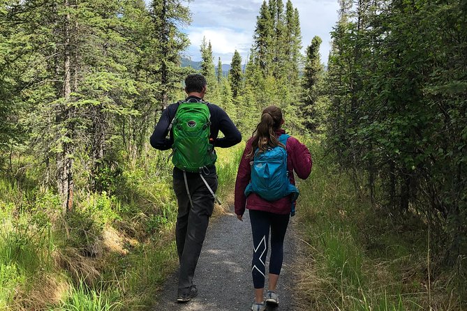 Denali Naturalist Walking Tour - Denali Backcountry Guides and the value of a small group