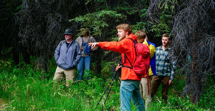 Denali: Naturalist Walking Tour in Denali National Park - Why a guided walk adds so much to Denali