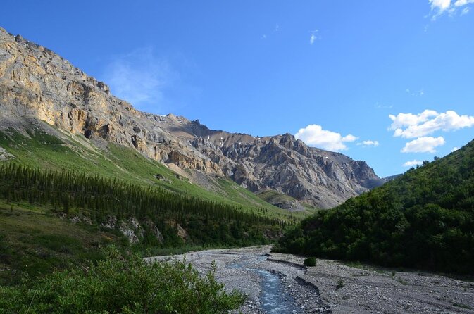 Denali Park Nature Walk (3 Hours) w/Expert Naturalist - Why a Three-Hour Walk Shows You a Different Denali