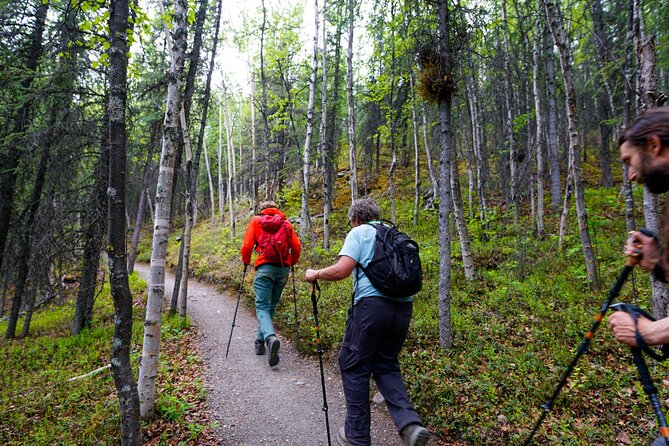 Denali Park Nature Walk (3 Hours) w/Expert Naturalist - Meeting at the Denali Visitor Center